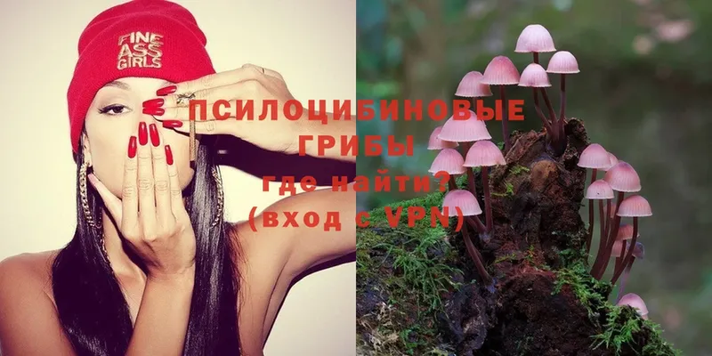 Галлюциногенные грибы Magic Shrooms  hydra ссылка  Тавда 